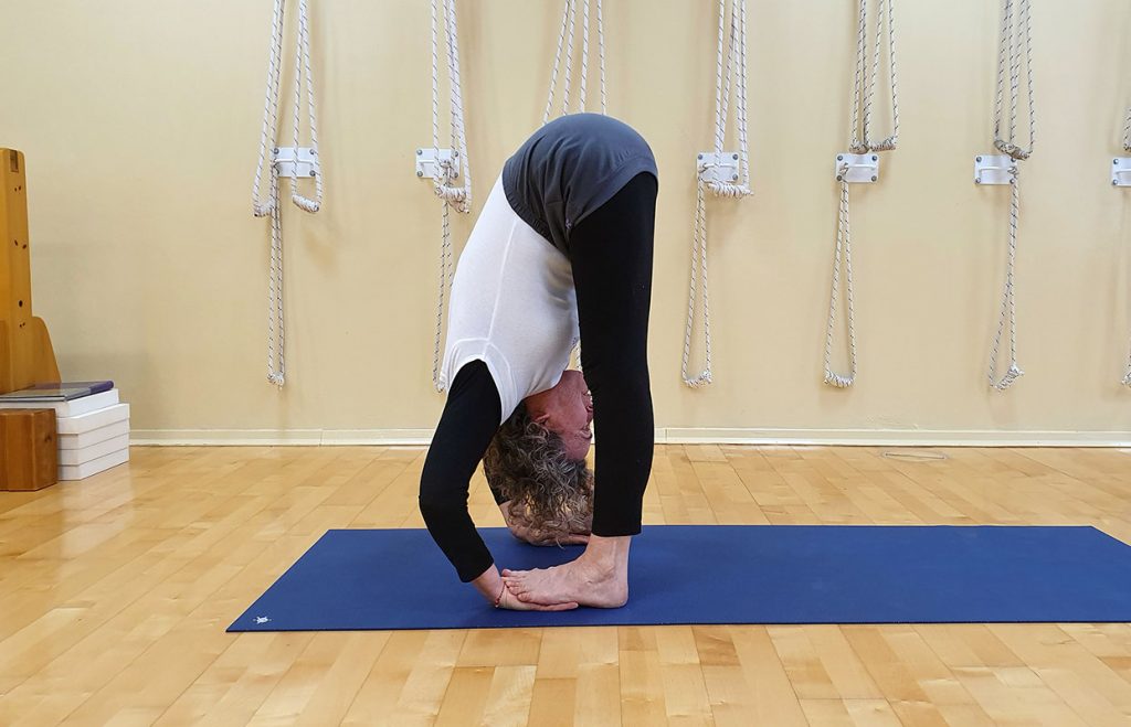 פדה הסטאסנה