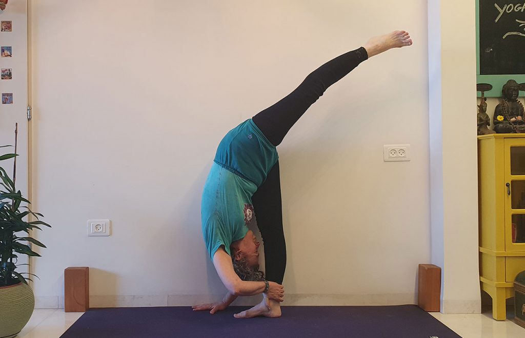 אורדבה פרסריטה אקה פדאסנה