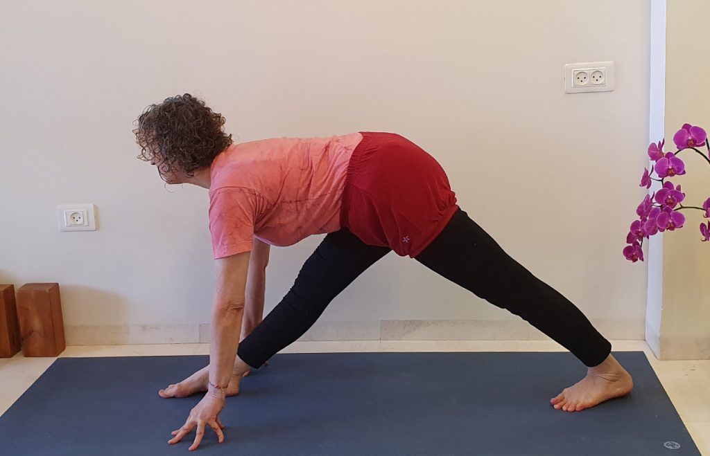 פרשבוטנאסנה