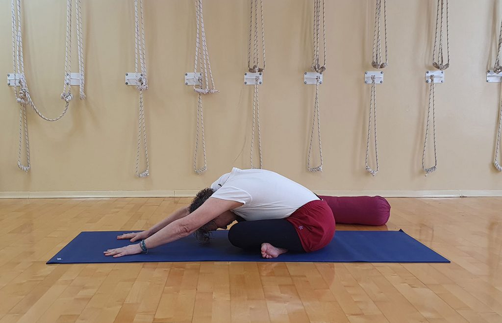 אדהו מוקהה סוסטיקאסנה