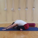 אדהו מוקהה סוסטיקאסנה