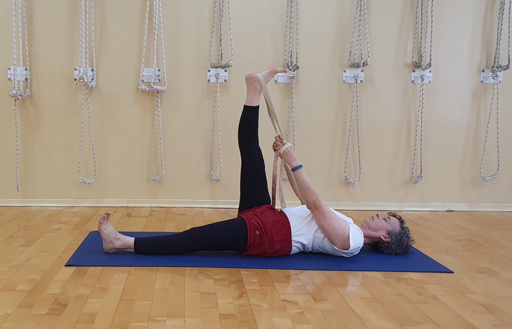 סופטה פדנגושטאסנה 1