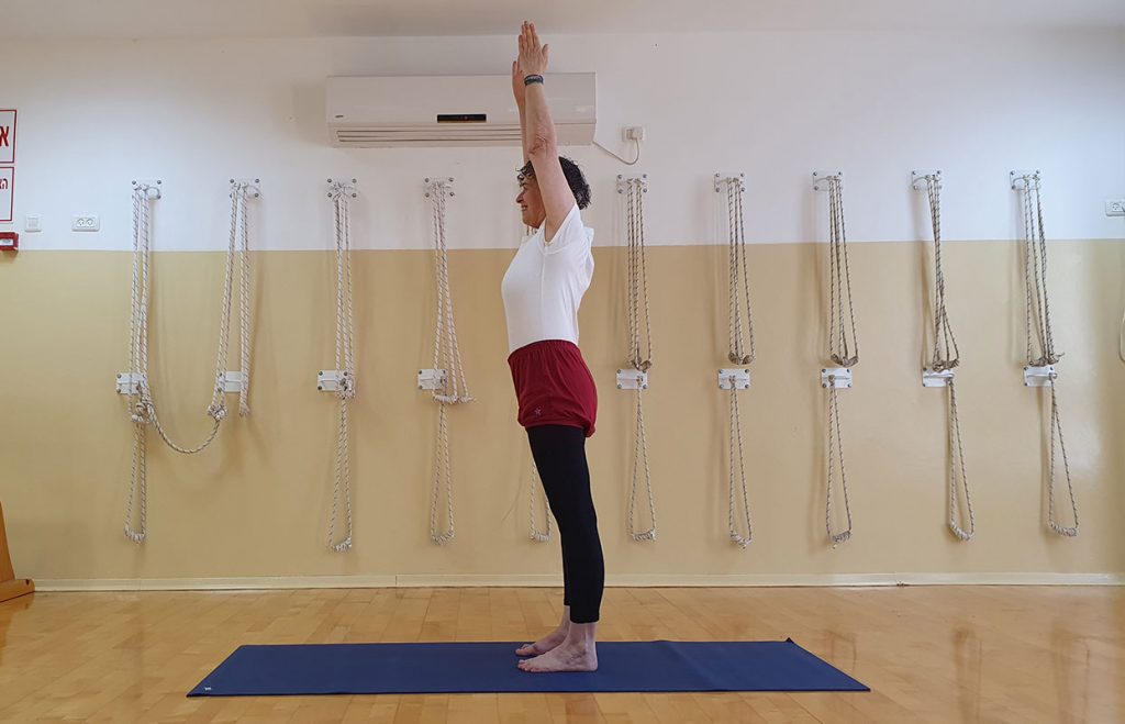 אורדבה הסטאסנה