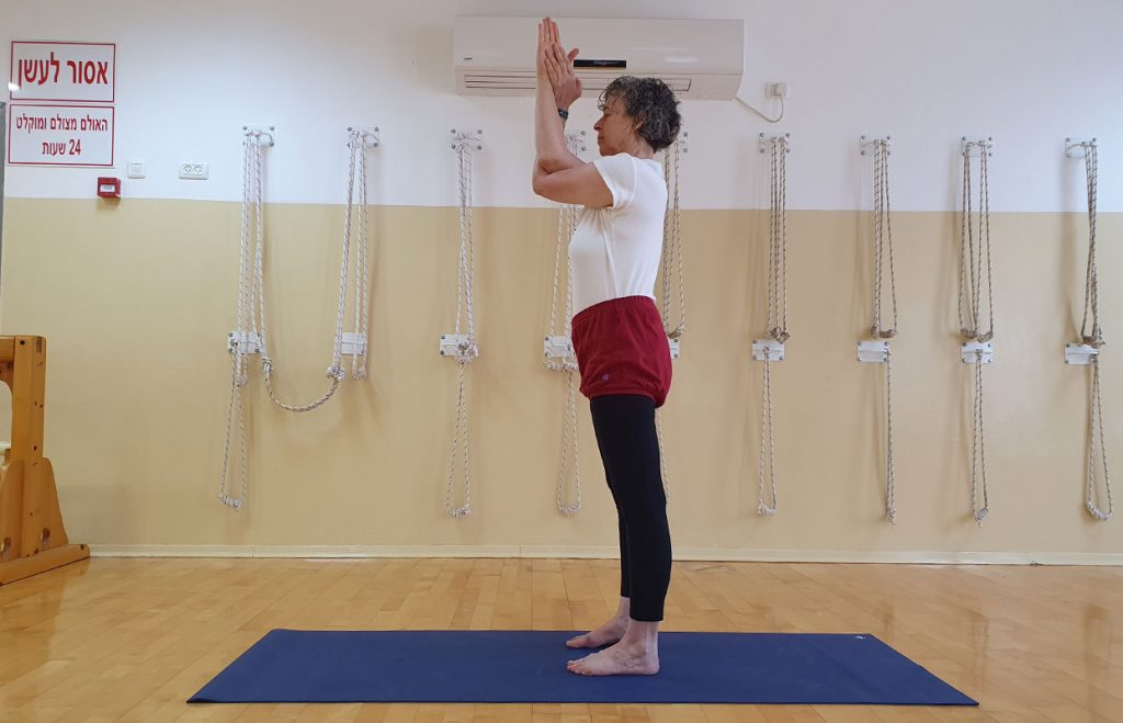 גארודאסנה בטדאסנה